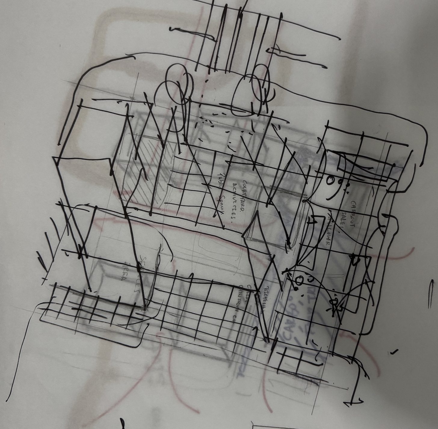 Sketch 8 — Plan study